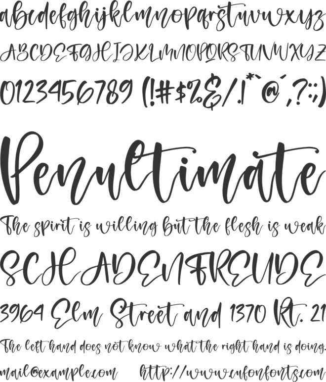 Amigoste font preview