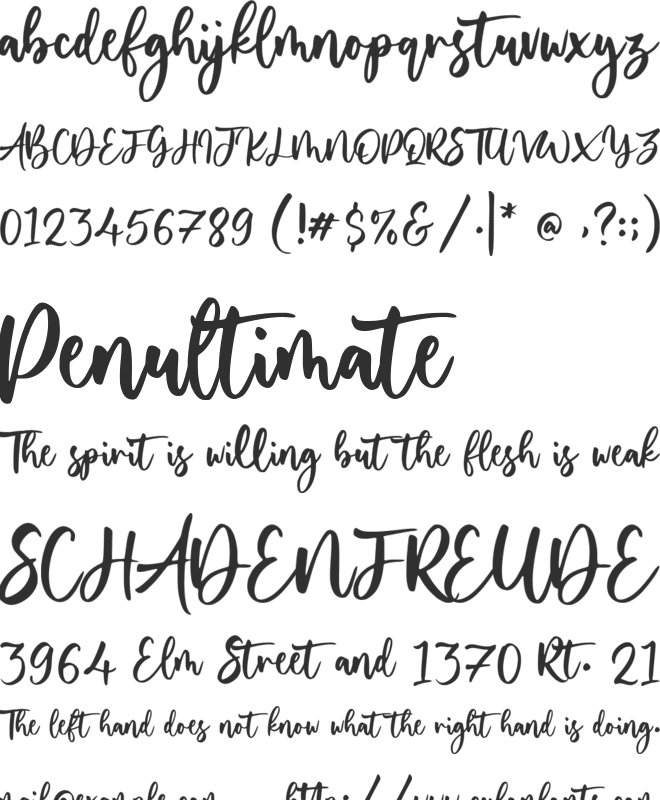 Yourladies font preview