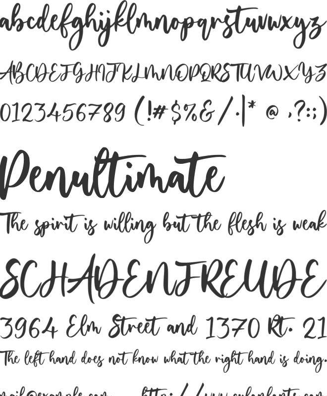 Yourladies font preview