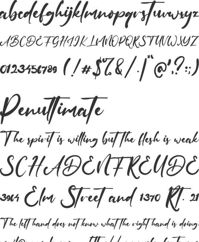 Diallova Fest font preview