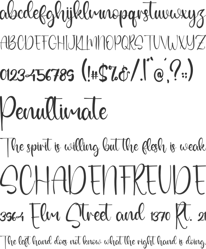 Mister Roman font preview