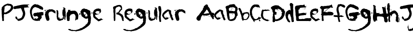 PJGrunge Regular font