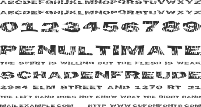 FlameTime font preview
