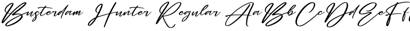 Busterdam Hunter Regular font