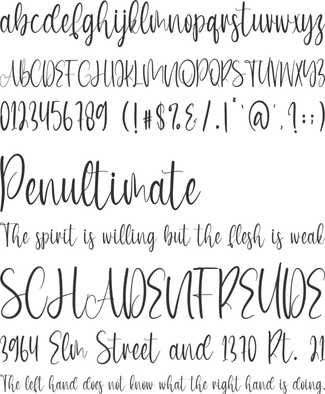 Austyn font preview