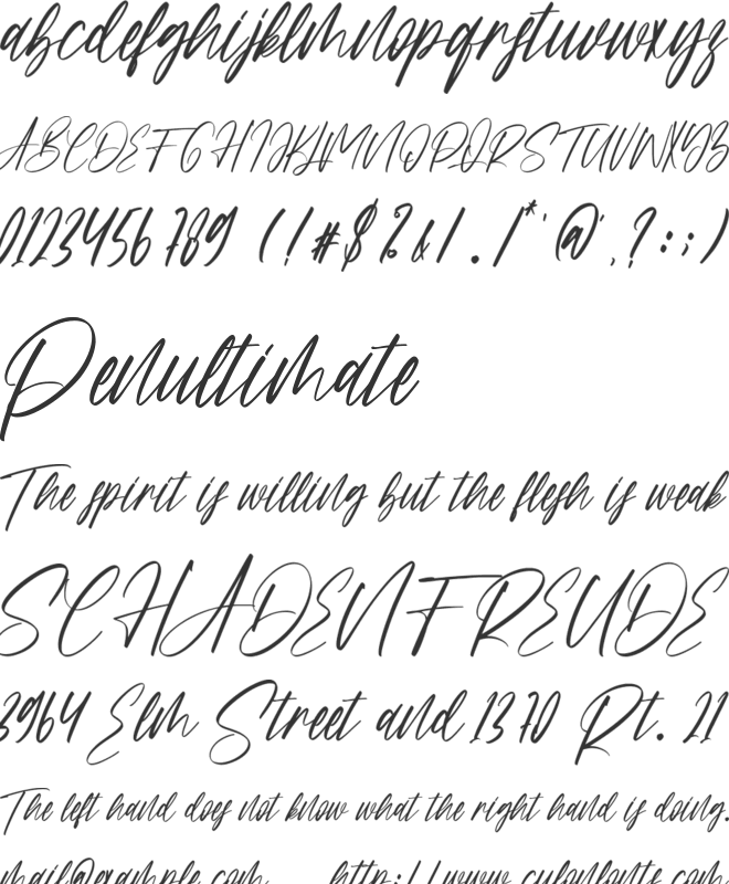 Bestseller font preview