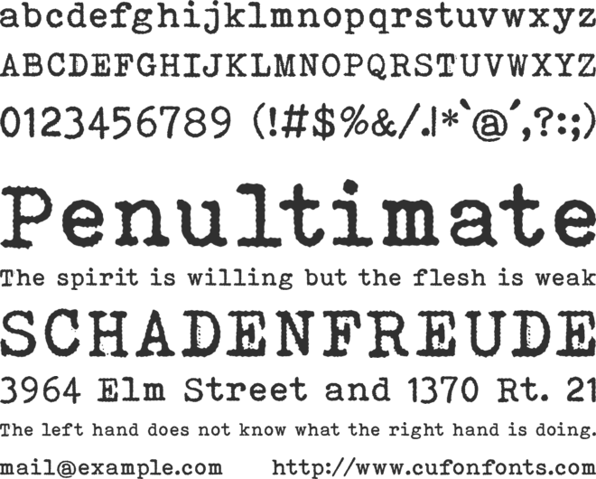 Bohemian Typewriter font preview