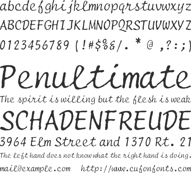 Selectric Script font preview