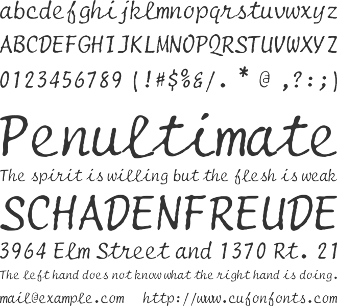 Selectric Script font preview