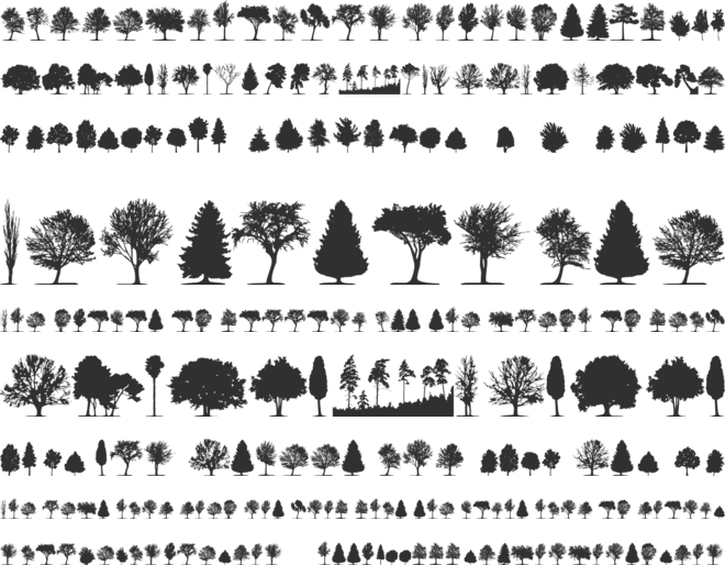 trees TFB font preview