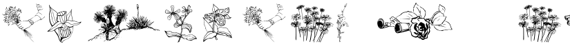 wmflowers2 Regular font