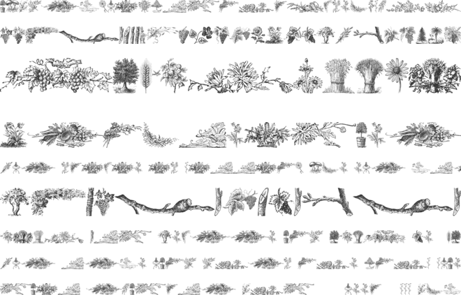 Vegetable Breathe Free font preview