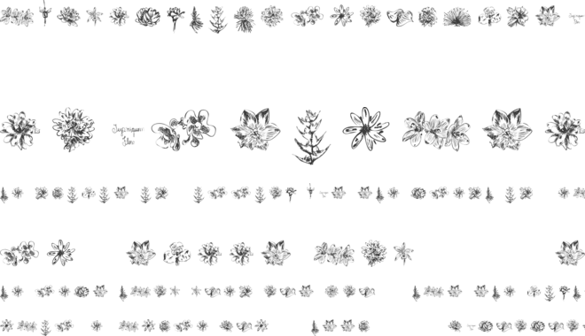 Tupiniquim  Flora font preview