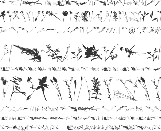 Floral Flush font preview