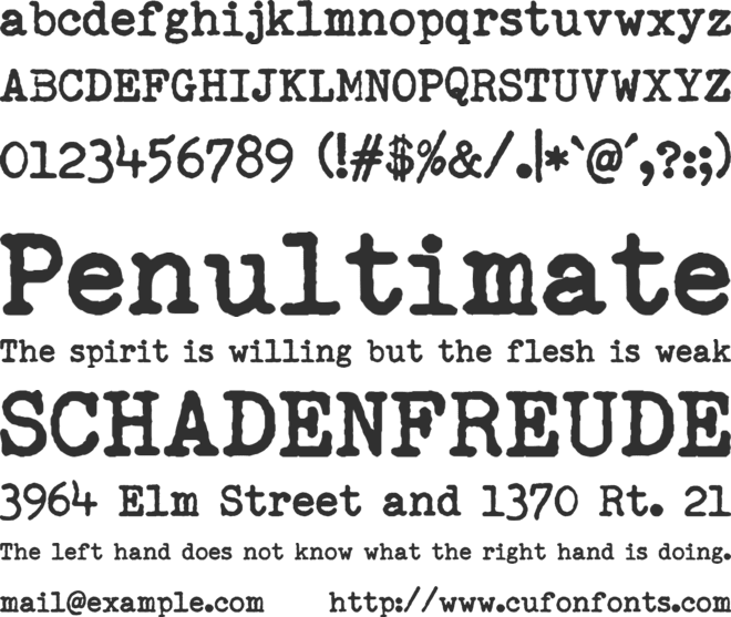 Remingtoned Type font preview