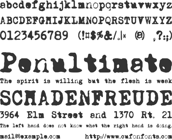 DK Carbonara font preview