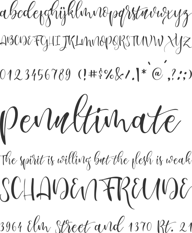 lesley font preview