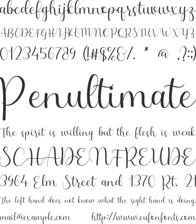Ninetyne font preview