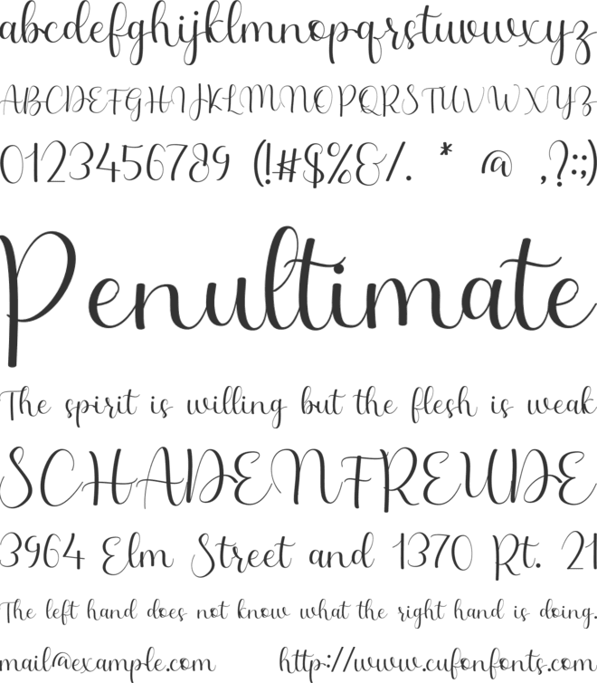Ninetyne font preview