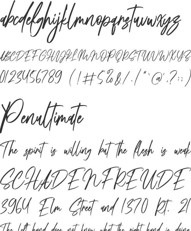 Beginning font preview