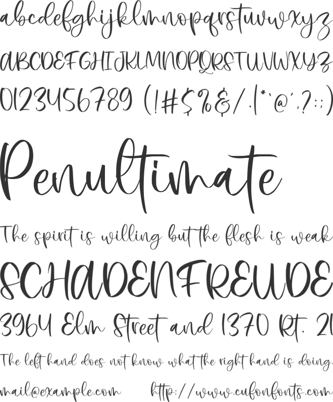 Everytime font preview