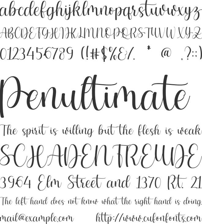 Zaytun font preview