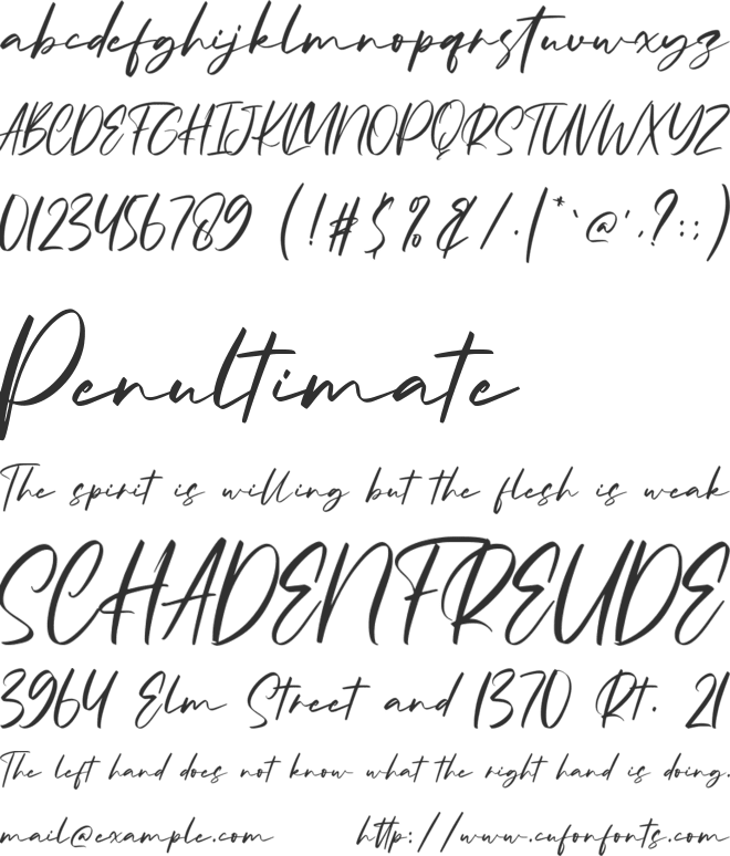 Photography Moments font preview