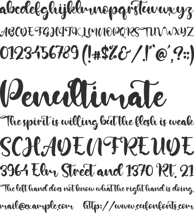 Kevin Lilley font preview