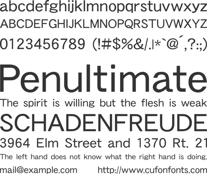 nintendo_HeiTiW5_002 font preview