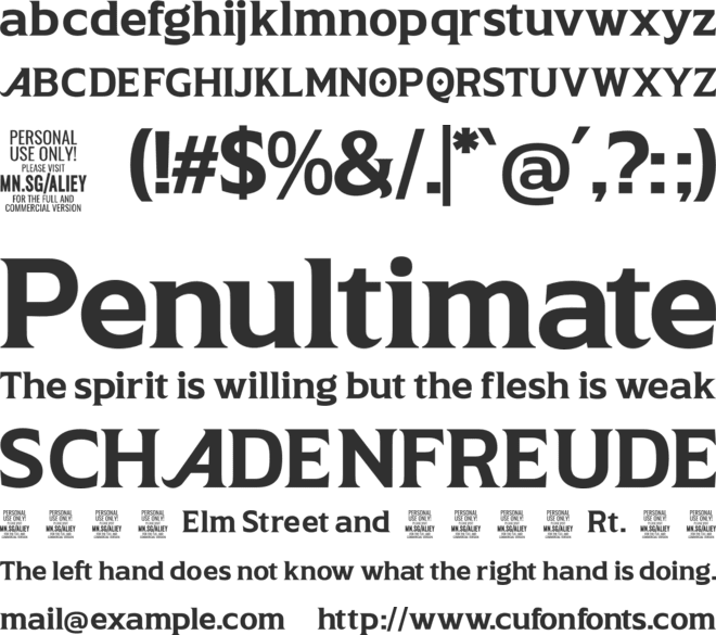 Aliey PERSONAL USE ONLY font preview