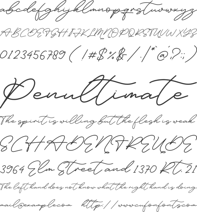 Felisia font preview