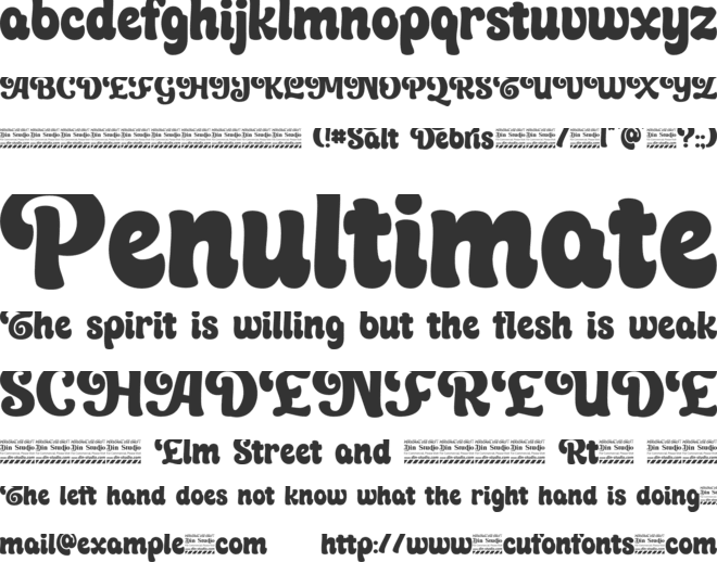 Salt Debris personal use font preview