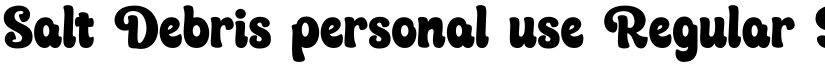 Salt Debris personal use Regular font
