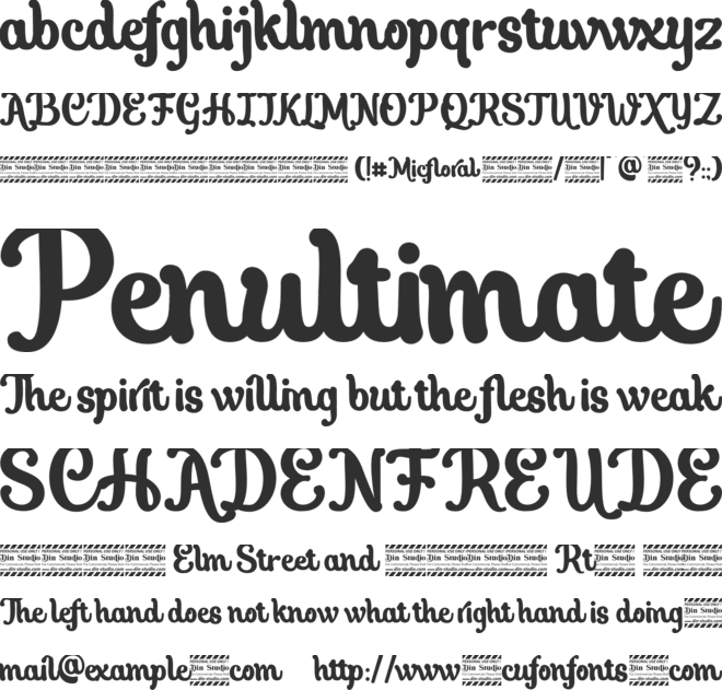 Micfloral personal use font preview