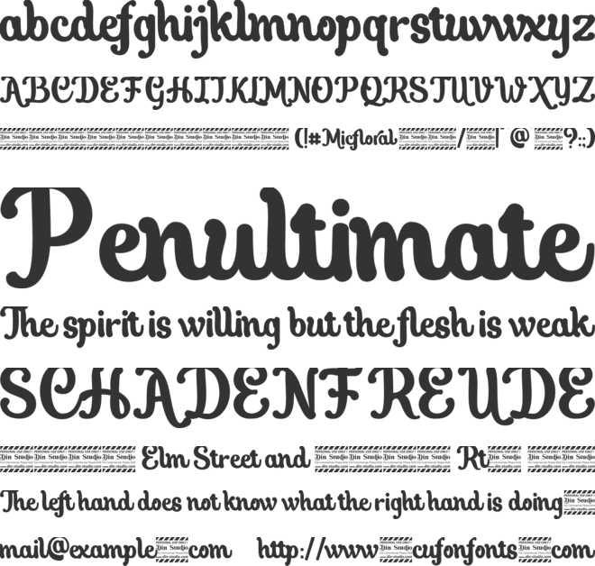 Micfloral personal use font preview