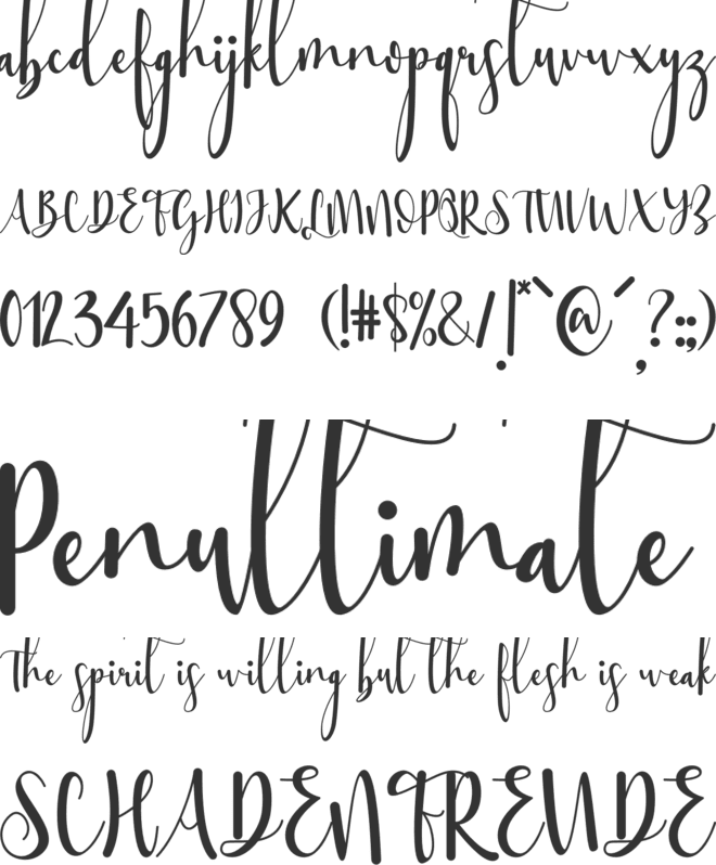 Sttessi font preview