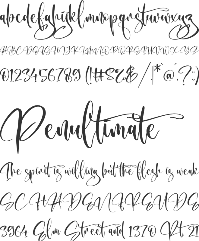 Himawari swim font preview