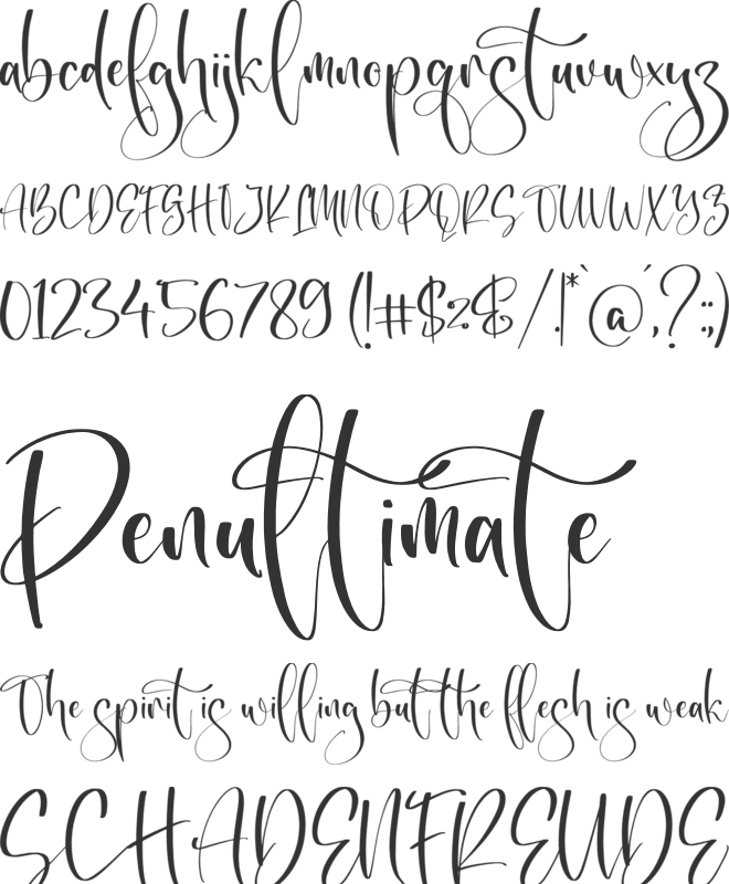 Belisa font preview