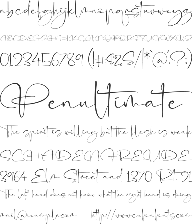SignRiyathi font preview