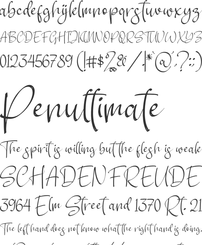 Sunflower font preview