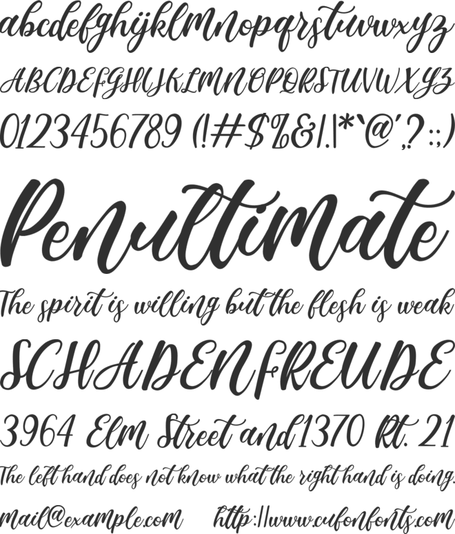 Madista Calligraphy font preview