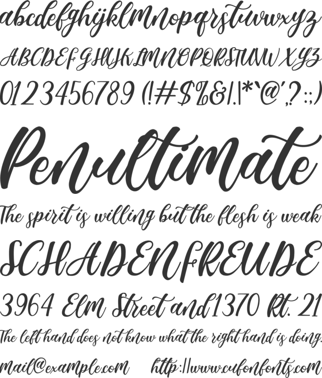 Madista Calligraphy font preview