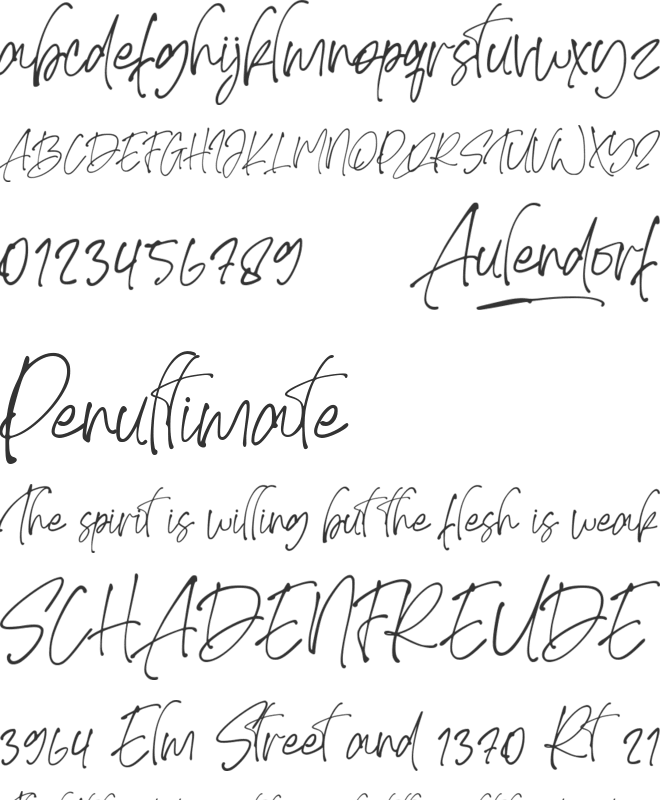 Aulendorf font preview