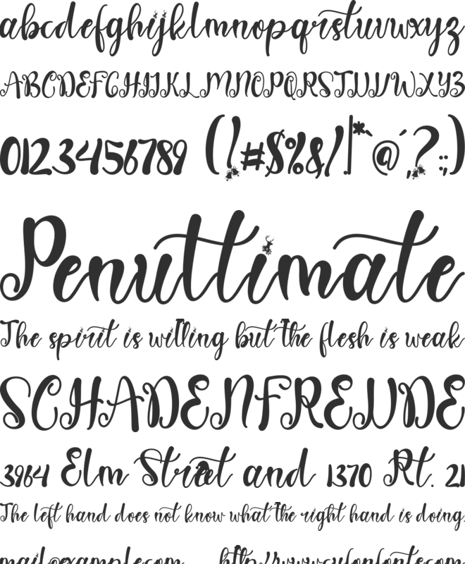 Sweet Christmas Monogram font preview