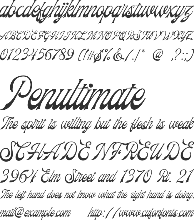 Frankest Script DEMO font preview