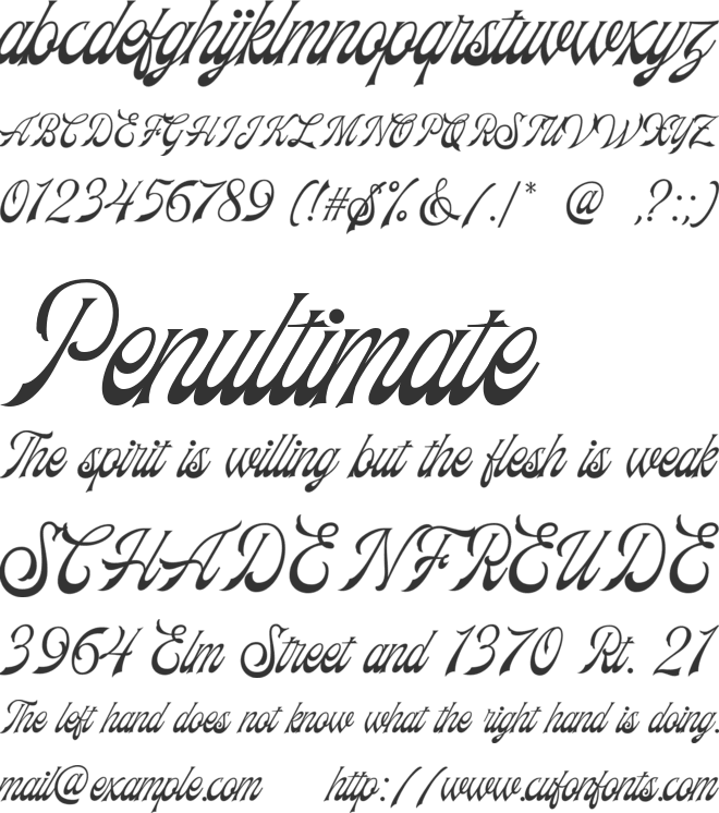 Frankest Script DEMO font preview