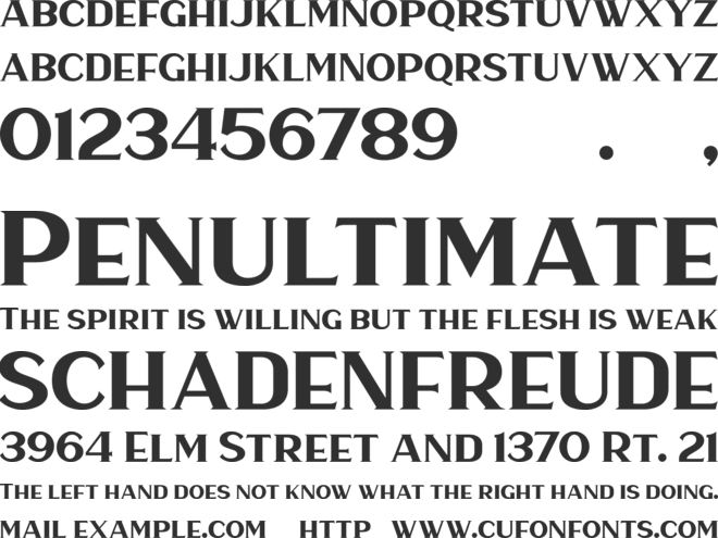 Haarlem Serif DEMO font preview