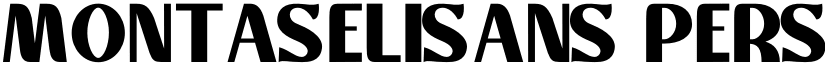 Montaselisans Personal Use Regular font