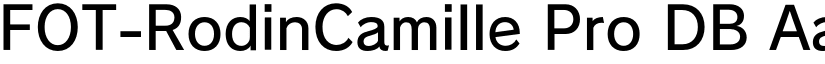 FOT-RodinCamille Pro font download