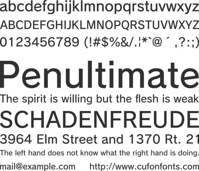FOT-RodinCamille Pro font preview